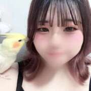 ヒメ日記 2026/08/30 21:10 投稿 りお 人妻の輝き(大阪)