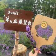 ヒメ日記 2026/07/13 06:35 投稿 なぎさ超神対応有名店NO1 風神会館新宿店