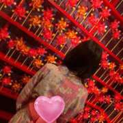 ヒメ日記 2026/06/19 10:31 投稿 いのり 尼妻（あまづま）