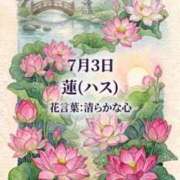 ヒメ日記 2026/07/03 08:17 投稿 白河かなえ 東京不倫 渋谷店