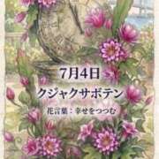 ヒメ日記 2026/07/04 12:47 投稿 白河かなえ 東京不倫 渋谷店