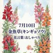 ヒメ日記 2026/07/10 08:37 投稿 白河かなえ 東京不倫 渋谷店