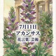 ヒメ日記 2026/07/11 10:47 投稿 白河かなえ 東京不倫 渋谷店