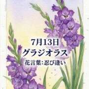 ヒメ日記 2026/07/13 08:07 投稿 白河かなえ 東京不倫 渋谷店