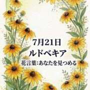 ヒメ日記 2026/07/21 07:57 投稿 白河かなえ 東京不倫 渋谷店