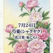 ヒメ日記 2026/07/24 08:07 投稿 白河かなえ 東京不倫 渋谷店