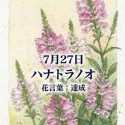 ヒメ日記 2026/07/27 08:17 投稿 白河かなえ 東京不倫 渋谷店