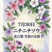 ヒメ日記 2026/07/30 08:17 投稿 白河かなえ 東京不倫 渋谷店