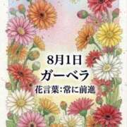 ヒメ日記 2026/08/01 14:37 投稿 白河かなえ 東京不倫 渋谷店