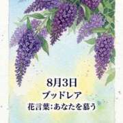 ヒメ日記 2026/08/03 08:07 投稿 白河かなえ 東京不倫 渋谷店