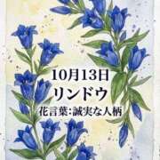 ヒメ日記 2026/10/13 08:17 投稿 白河かなえ 東京不倫 渋谷店
