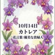 ヒメ日記 2026/10/14 08:41 投稿 白河かなえ 東京不倫 渋谷店
