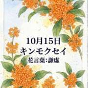 ヒメ日記 2026/10/15 08:47 投稿 白河かなえ 東京不倫 渋谷店
