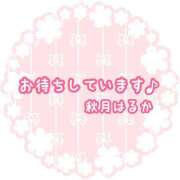 ヒメ日記 2026/08/14 15:37 投稿 秋月 はるか 大和屋 難波店