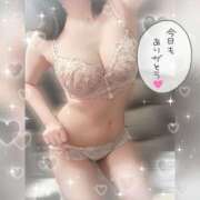 ヒメ日記 2026/07/15 21:23 投稿 望月 きこ 大和屋 難波店