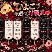 ヒメ日記 2026/10/13 08:53 投稿 ひよこ スピードエコ日本橋店