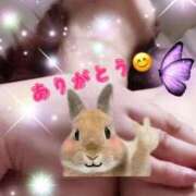 おとは 昨日のありがとう🐰🎀💕 成田人妻花壇