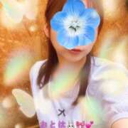 ヒメ日記 2026/09/08 18:19 投稿 おとは 成田人妻花壇