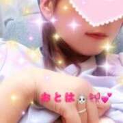ヒメ日記 2026/09/10 21:42 投稿 おとは 成田人妻花壇