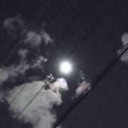 ヒメ日記 2024/12/15 12:07 投稿 あずさ 胡蝶蘭