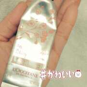 ヒメ日記 2025/01/29 19:53 投稿 あずさ 胡蝶蘭