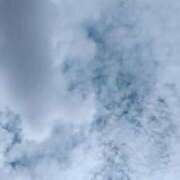 ヒメ日記 2025/08/16 15:03 投稿 あずさ 胡蝶蘭