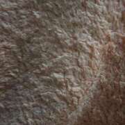 ヒメ日記 2025/11/05 23:22 投稿 あずさ 胡蝶蘭