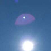 ヒメ日記 2025/12/15 11:02 投稿 あずさ 胡蝶蘭