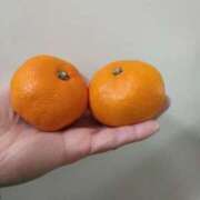 あずさ おはようございます☀ 胡蝶蘭