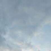 ヒメ日記 2025/12/23 16:34 投稿 あずさ 胡蝶蘭