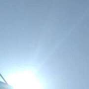 あずさ おはようございます? 胡蝶蘭