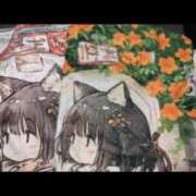 ヒメ日記 2026/07/17 07:57 投稿 あずさ 胡蝶蘭