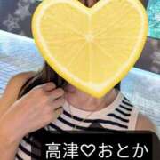 ヒメ日記 2026/07/30 16:48 投稿 おとか 高津角えび