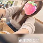 ヒメ日記 2026/10/06 19:08 投稿 おとか 高津角えび