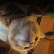 ヒメ日記 2026/07/13 22:17 投稿 みおな Grace東京