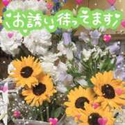 ヒメ日記 2026/07/03 21:20 投稿 今野つき 月の真珠-五反田-