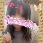 ヒメ日記 2026/07/20 20:50 投稿 今野つき 月の真珠-五反田-