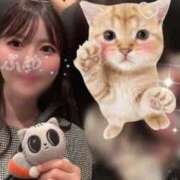 ヒメ日記 2026/07/14 11:07 投稿 ふゆ ごほうびSPA 新宿店