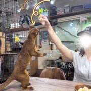 ヒメ日記 2026/07/20 00:07 投稿 ふゆ ごほうびSPA 新宿店