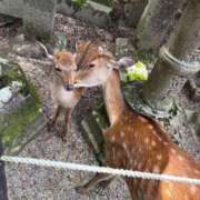 ヒメ日記 2026/09/19 16:27 投稿 きさき 熟女総本店 堺東店