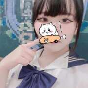 ヒメ日記 2026/08/09 12:51 投稿 みこ 宮城仙南ちゃんこ