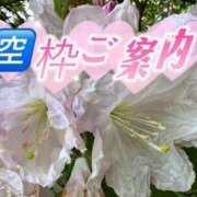 ヒメ日記 2026/06/25 15:04 投稿 しずか 夜這い茶屋 はなれ