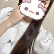 みこ こんにちは🐶 アラモード