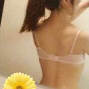 ヒメ日記 2026/10/03 15:03 投稿 緑川 せいや 大和屋 京都店