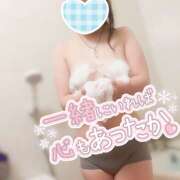 はるな こんばんわ わんだふる