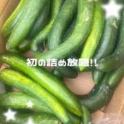 ヒメ日記 2026/07/12 20:22 投稿 朱凛/あかり　centu STYLISH BACH