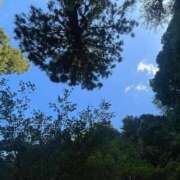ヒメ日記 2026/08/13 11:52 投稿 朱凛/あかり　centu STYLISH BACH