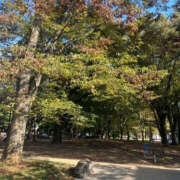 ヒメ日記 2026/10/17 23:42 投稿 朱凛/あかり　centu STYLISH BACH
