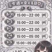 ヒメ日記 2026/08/31 16:05 投稿 ここみ ぷるるんギャング