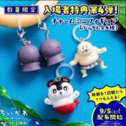 ヒメ日記 2026/08/31 16:55 投稿 ここみ ぷるるんギャング
